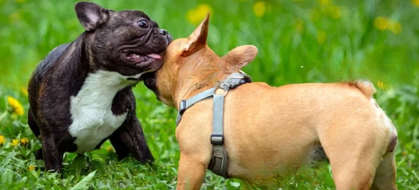 important-update-img1