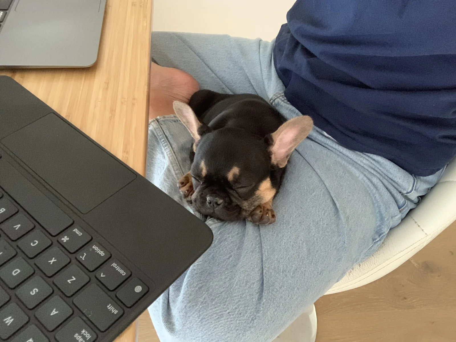 important-update-img2