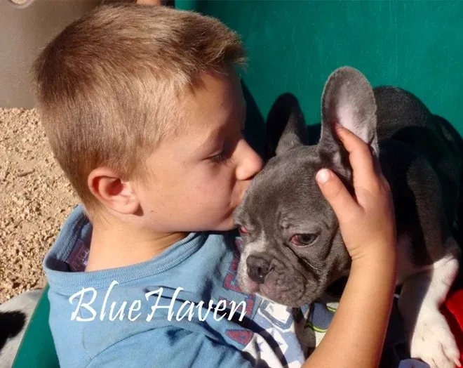 Frenchie Tested & Approved!