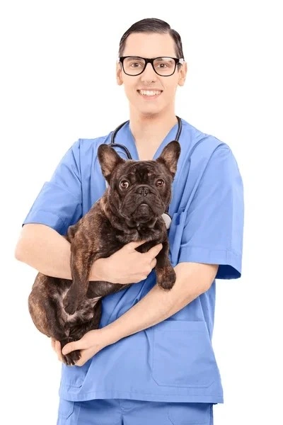 Veterinarian