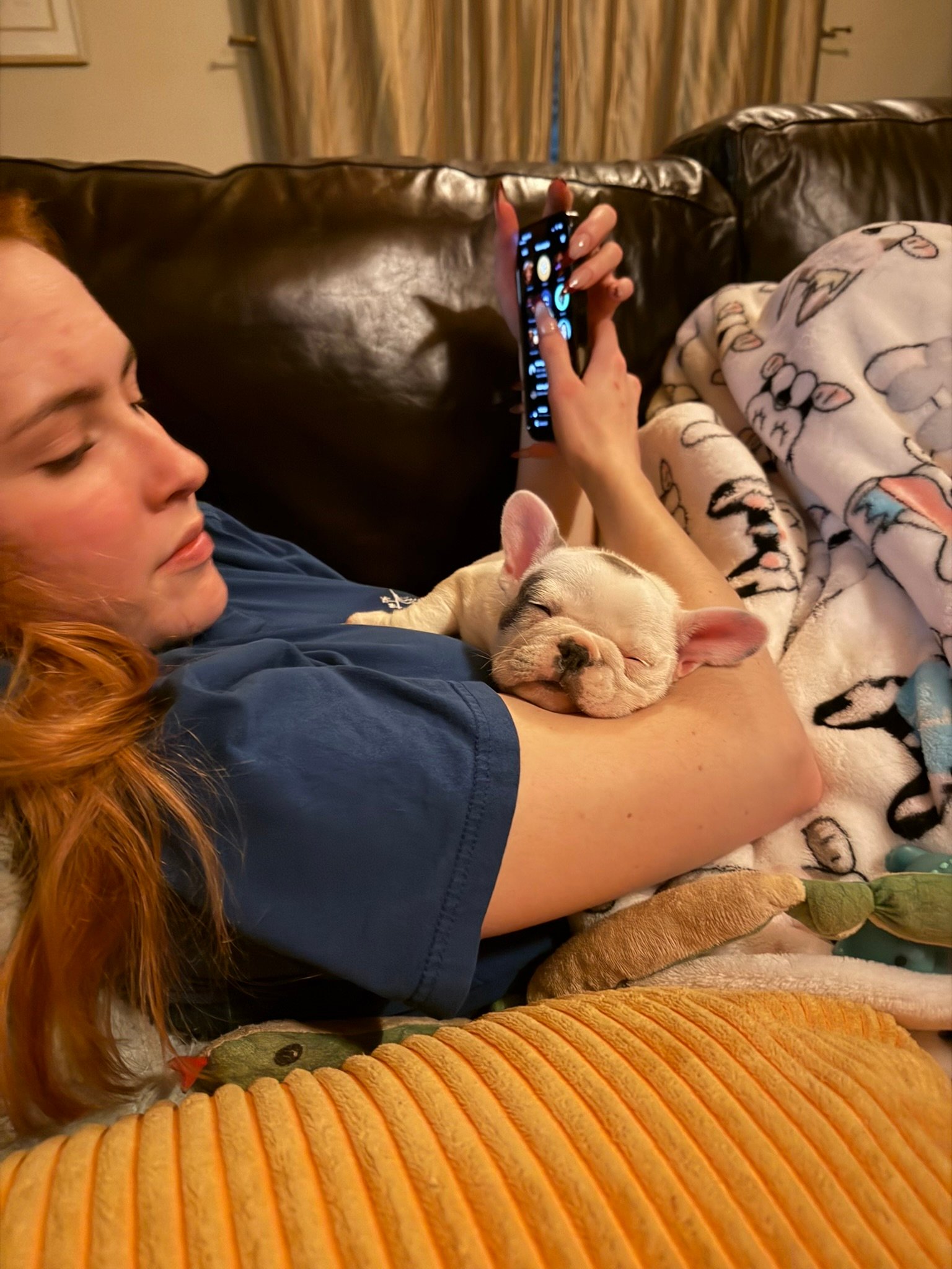 Puppy peacefully sleeping