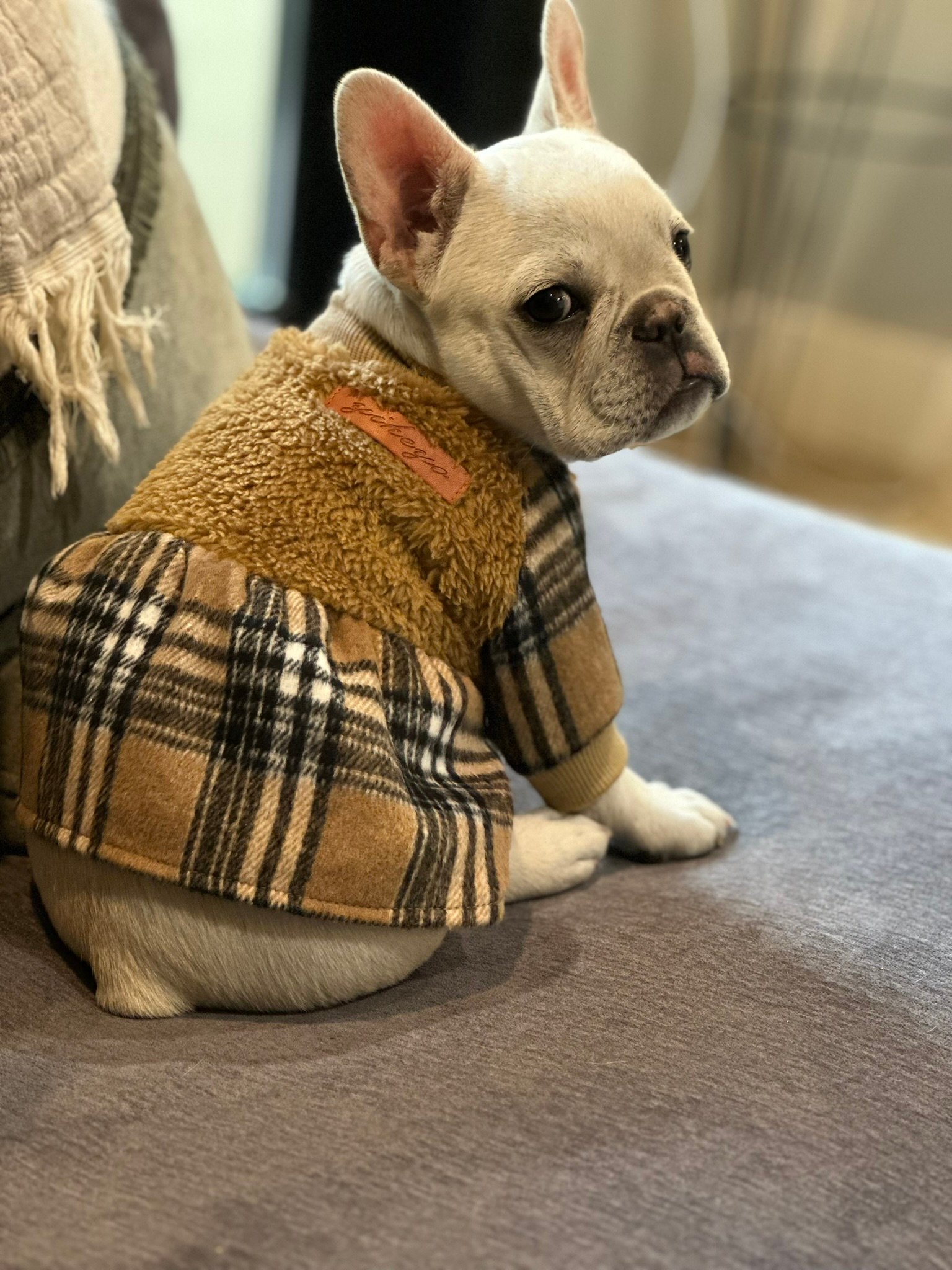 Cozy plaid winter jacket
